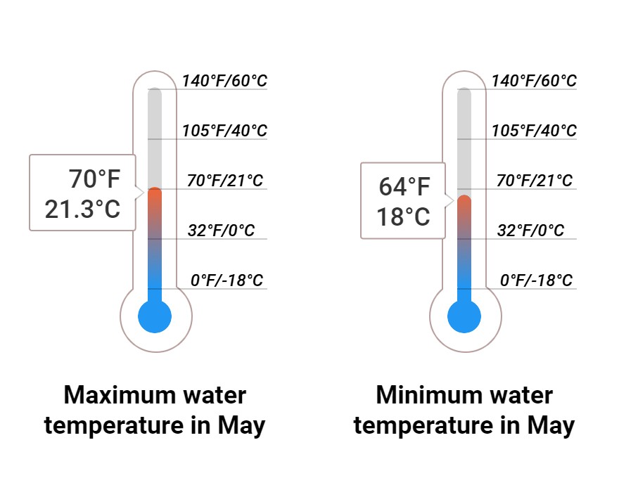 Average Sea temperature